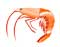 Seafood